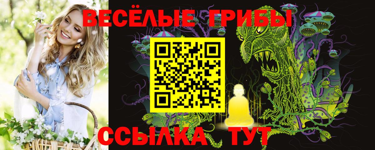 Кизляр  Галлюциногенные грибы мицелий  Галлюциногенные грибы ЛСД  Вход с VPN 