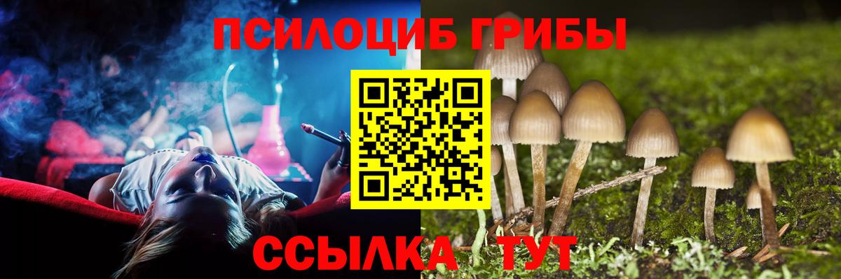 Галлюциногенные грибы прущие грибы Кизляр
